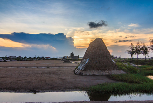 Hạt muối nhọc nhằn của diêm dân Nam Định ảnh 17