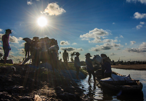 Hạt muối nhọc nhằn của diêm dân Nam Định ảnh 8