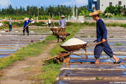 Hạt muối nhọc nhằn của diêm dân Nam Định ảnh 2