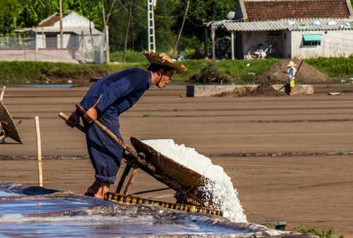 Hạt muối nhọc nhằn của diêm dân Nam Định ảnh 13