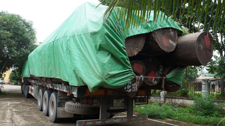 Bắt đoàn xe chở gỗ vượt hơn 300% tải trọng ảnh 3