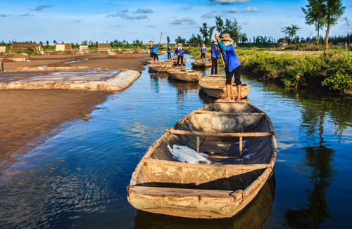 Hạt muối nhọc nhằn của diêm dân Nam Định ảnh 10