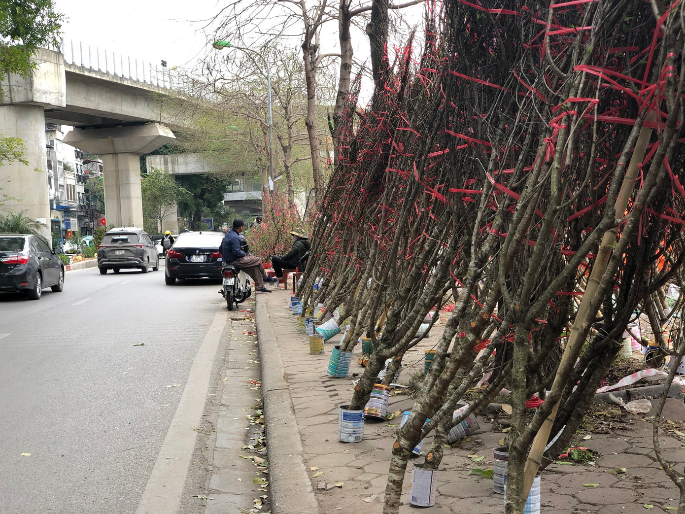 Đào cành chất chồng trên vỉa hè “ngóng” khách. Đào rừng dài khoảng 2-3m giá 200.000 – 500.000 đồng/cành, theo tiểu thương, mức giá này chỉ bằng một nửa so với năm trước.