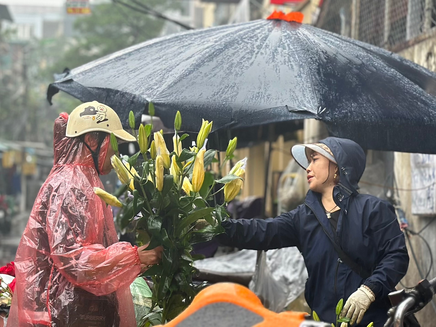 Sau Tết Nguyên đán, rằm tháng Giêng được coi là một trong những ngày lễ quan trọng nhất trong một năm. Mâm cúng ngày rằm được chuẩn bị cẩn thận, bao gồm cả hoa tươi, trầu cau... Giá hoa sau Tết đã hạ nhiệt đáng kể. Hoa dơn 130.000 - 180.000 đồng/ 10 cành, hoa ly 140.000 đồng/10 cành, hoa hồng có cành lộc 10.000-12.000 đồng/bông; hoa cúc 5.000 đồng/bông... Dù Hà Nội mưa nặng hạt, nhưng các chợ truyền thống đã sớm đón khách mua đồ lễ ngày rằm. Sau Tết Nguyên đán, rằm tháng Giêng được coi là một trong những ngày lễ quan trọng nhất trong một năm. Mâm cúng ngày rằm được chuẩn bị cẩn thận, bao gồm cả hoa tươi, trầu cau... Giá hoa sau Tết đã hạ nhiệt đáng kể. Hoa dơn 130.000 - 180.000 đồng/ 10 cành, hoa ly 140.000 đồng/10 cành, hoa hồng có cành lộc 10.000-12.000 đồng/bông; hoa cúc 5.000 đồng/bông... Dù Hà Nội mưa nặng hạt, nhưng các chợ truyền thống đã sớm đón khách mua đồ lễ ngày rằm.