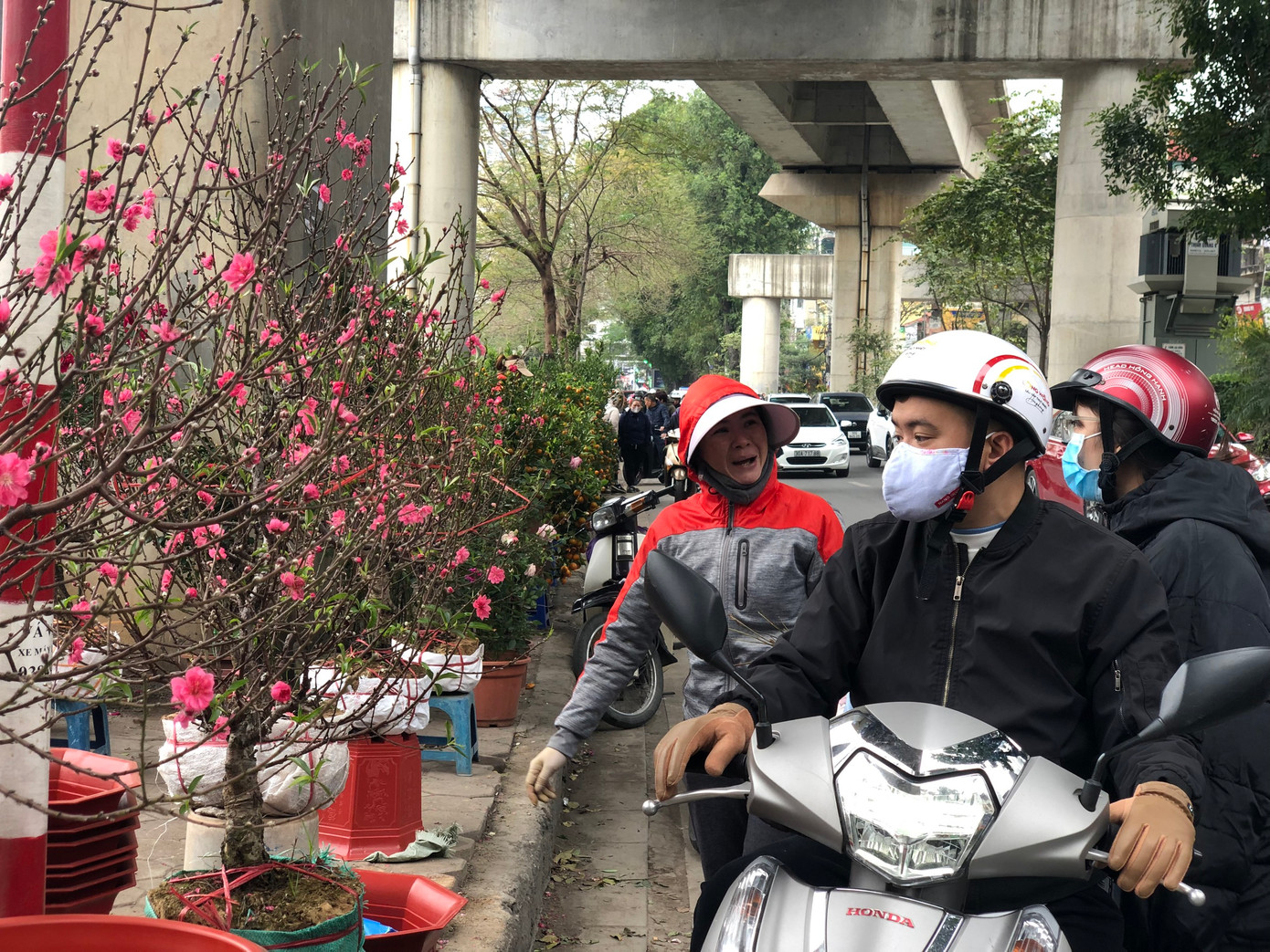 Những cây to, tiền triệu kén khách hơn. Chị Lê Thủy - tiểu thương bán đào trên đường Láng - cho biết, năm nay thời tiết gần Tết ấm, nồm khiến hoa bung nở sớm, khách càng lấy lý do mặc cả. Chị Thủy ước tính, sức tiêu thụ năm nay chỉ bằng 60% năm trước.