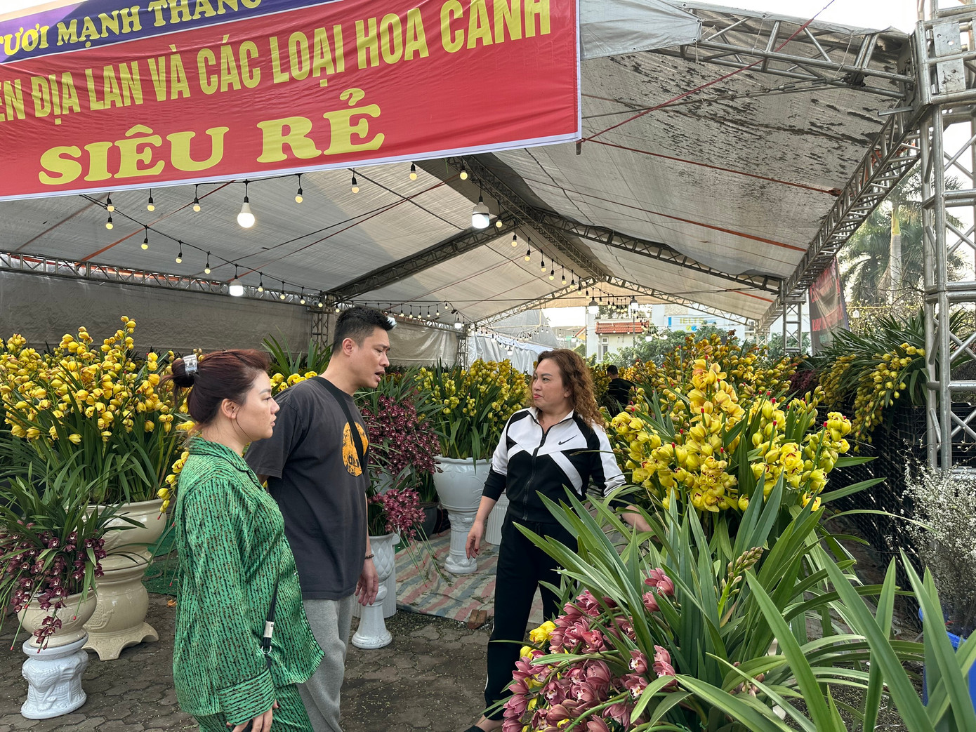 Chưa đến ngày cuối năm, nhưng nhiều tiểu thương đã chấp nhận giảm giá, thiết kế nhiều chậu lan giá "mềm" dưới 1 triệu đồng. Để hút khách, tiểu thương cạnh tranh nhau treo biển giảm giá, siêu rẻ, giá rẻ, giá sốc...