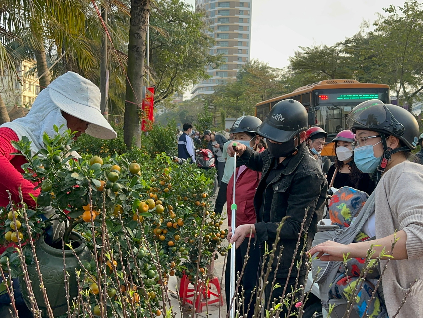 Đoạn đường tập trung nhiều điểm bán cây cảnh như Hoàng Hoa Thám, Lạc Long Quân tắc nghẽn khi nhiều người nán lại lòng đường xem, mua cây.