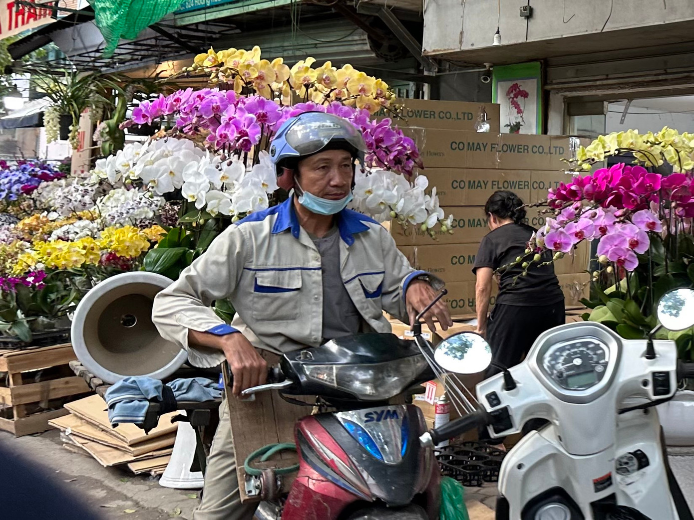 Nhu cầu vận chuyển cũng tăng mạnh trong ngày cuối tuần, người giao hàng tất bật vận chuyển theo yêu cầu. Nhiều người làm tự do, xe ôm, lái xe công nghệ cũng tranh thủ chở cây, kiếm thêm tiền dịp Tết. Một lần chở cây giá từ 50.000 đồng trở lên. Cây kích thước lớn, quãng đường xa, chậu nặng, cồng kềnh giá cao hơn, từ 100.000 – 500.000 đồng.