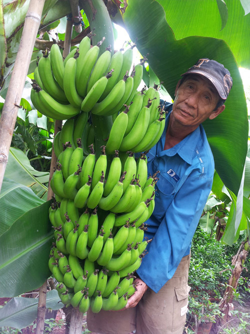 Nông dân trồng cây ăn trái siêu quả tham gia triển lãm ảnh 1