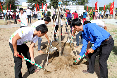 Trồng trên 10.500 cây xanh tại khu di tích đường Hồ Chí Minh trên biển ảnh 2