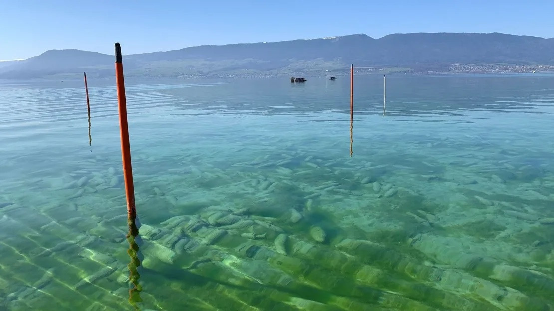 Việc trục vớt đạn dược trong hồ sâu đặt ra nhiều thách thức. Ảnh: VBS-DDPS.