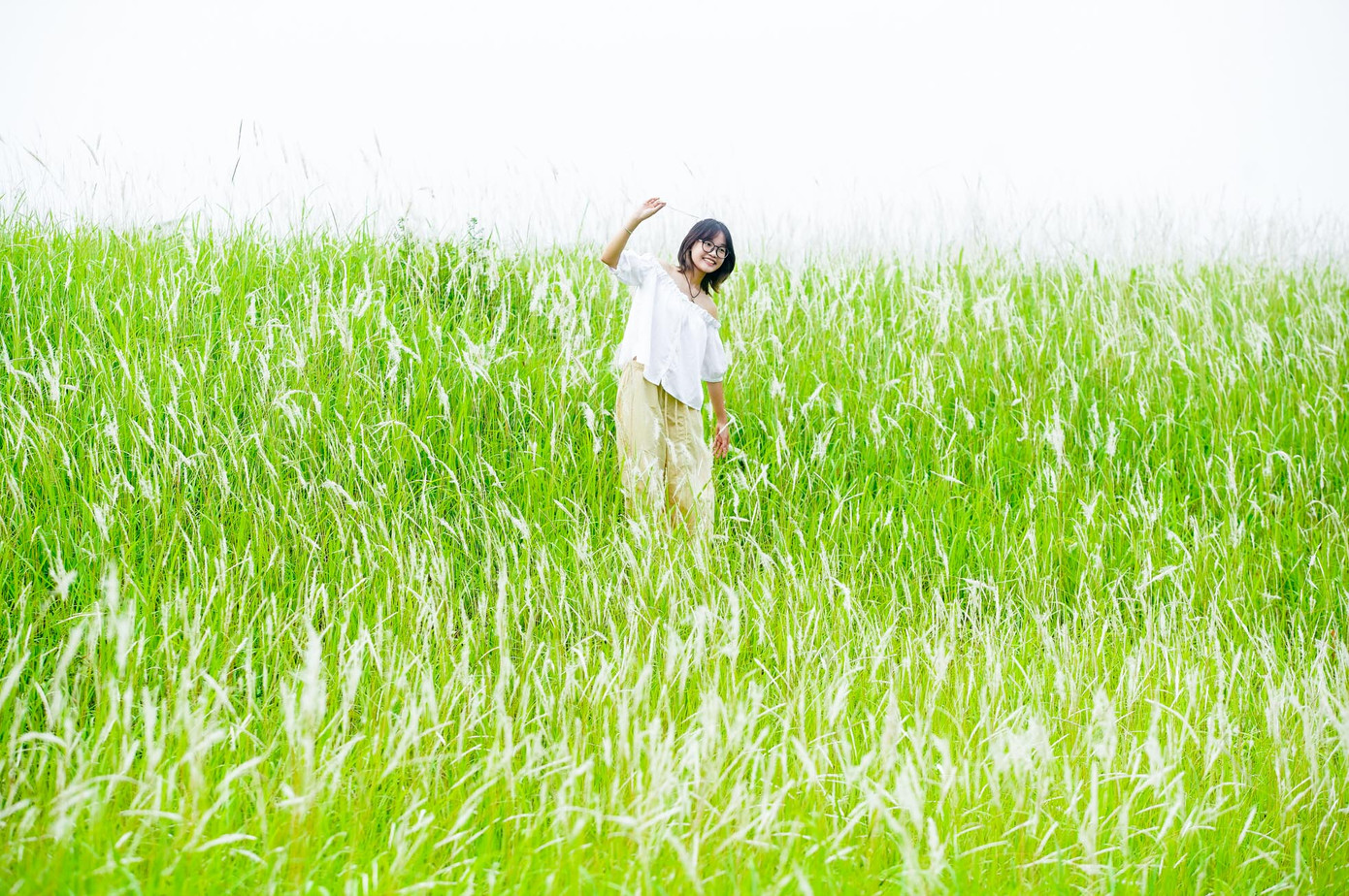 Hà Anh (2006, Hà Nội) chia sẻ: "Ngày nào em cũng đi học qua đây, nhìn thấy bãi lau rất đẹp nên em rủ bạn tranh thủ chụp ảnh. Em cũng thích cỏ lau!"