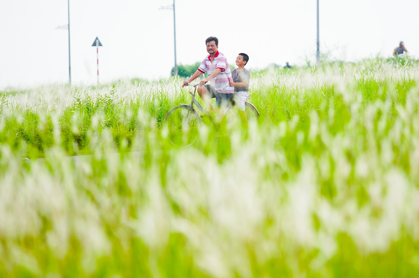 Thời điểm ngắm cỏ lau đẹp nhất trong ngày là buổi sáng sớm và khi chiều tà.