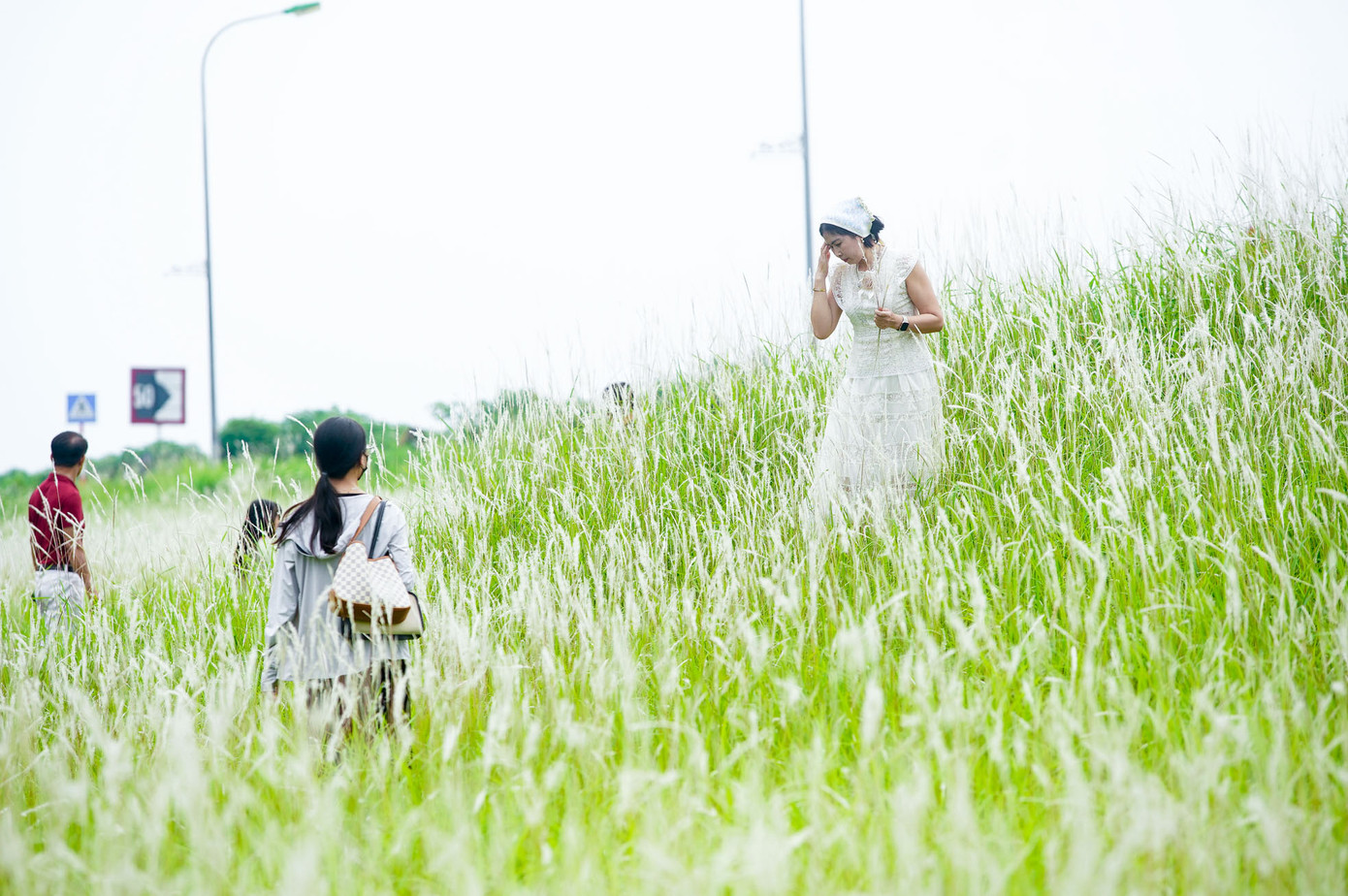 Triền đê ngập tràn cỏ lau trắng ngay cạnh đường đi nên rất tiện cho mọi người chiêm ngưỡng và chụp ảnh.