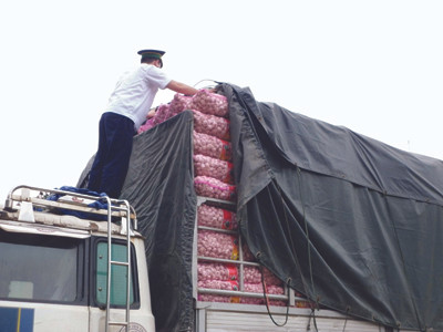 Cán bộ kiểm dịch lấy mẫu tỏi kiểm tra ATTP ở cửa khẩu Tân Thanh (Lạng Sơn). Ảnh: Phạm Anh