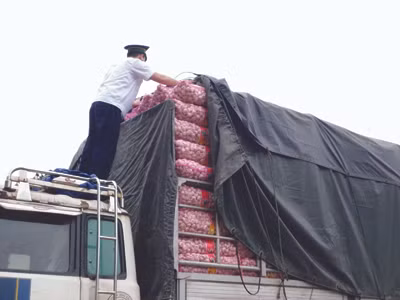 Cán bộ kiểm dịch lấy mẫu tỏi kiểm tra ATTP ở cửa khẩu Tân Thanh (Lạng Sơn). Ảnh: Phạm Anh