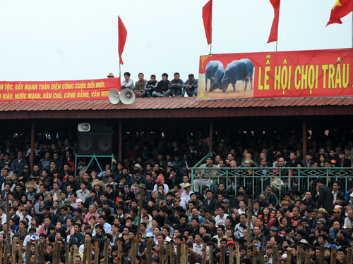 Phía bên trong sân chọi, sân vận động với sức chứa 4.000 người dường như không đủ. Dù đã có hàng rào bảo vệ nhưng nhiều khán giả vẫn giẫm đạp lên hàng rào thép gai để trèo lên các vị trí cao theo 