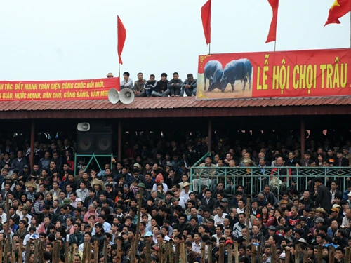 Phía bên trong sân chọi, sân vận động với sức chứa 4.000 người dường như không đủ. Dù đã có hàng rào bảo vệ nhưng nhiều khán giả vẫn giẫm đạp lên hàng rào thép gai để trèo lên các vị trí cao theo 