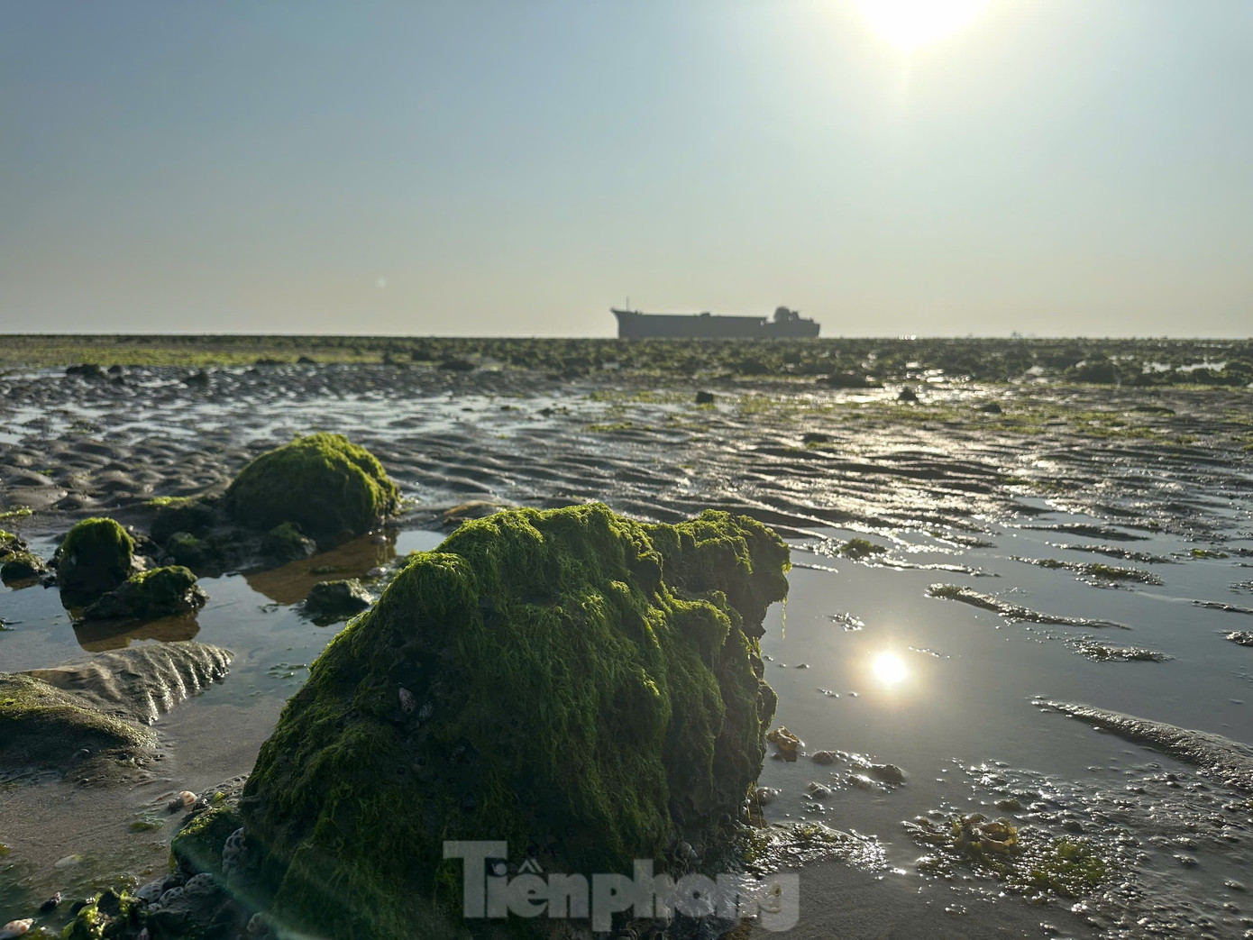 Thủy triều xuống sâu nhất làm lộ rõ những mảng đá san hô phủ đầy rong rêu trải dài xanh biếc. Ngoài ra, dưới những phiến đá vôi là vô số những thực vật, sinh vật biển sinh sống tạo nên khung cảnh bình yên hiếm nơi nào có được.