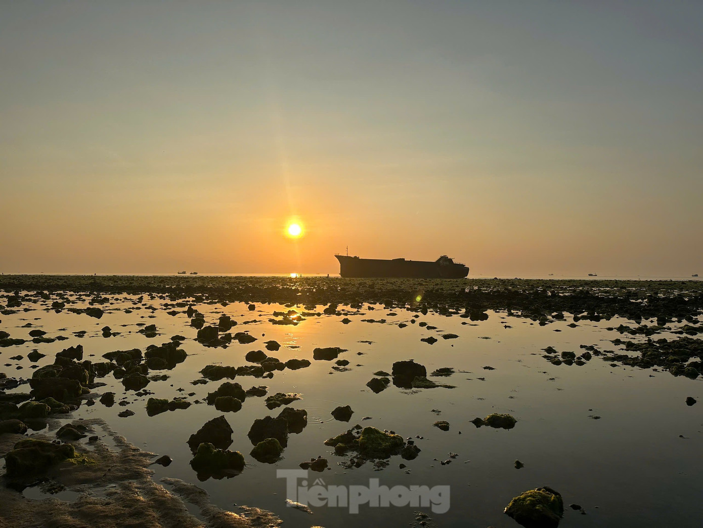 Không chỉ ngắm bình minh bên bãi rêu nhuộm màu xanh mát, du khách còn có thể vui chơi trên bờ cát hoặc ngồi trên đường thư giãn, chiêm ngưỡng vẻ đẹp bờ biển Ninh Thuận lúc về chiều.