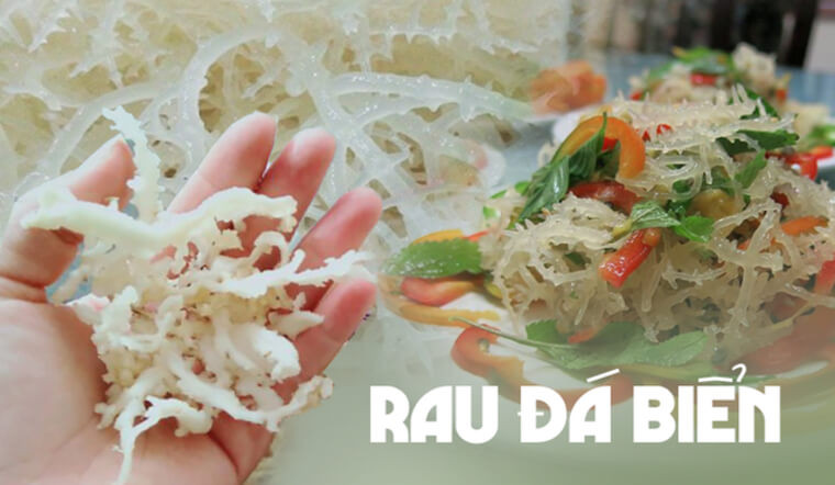 Rau câu chân vịt (hay được gọi là rau đá biển) khi ra được thành phẩm sẽ có màu trắng, có thể dùng làm thực phẩm có giá trị dinh dưỡng cao. Ảnh:MXH Rau câu chân vịt (hay được gọi là rau đá biển) khi ra được thành phẩm sẽ có màu trắng, có thể dùng làm thực phẩm có giá trị dinh dưỡng cao. Ảnh:MXH