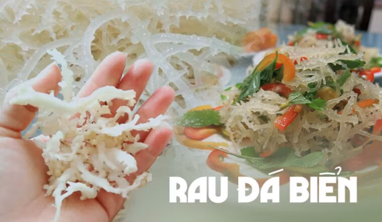 Rau câu chân vịt (hay được gọi là rau đá biển) khi ra được thành phẩm sẽ có màu trắng, có thể dùng làm thực phẩm có giá trị dinh dưỡng cao. Ảnh:MXH Rau câu chân vịt (hay được gọi là rau đá biển) khi ra được thành phẩm sẽ có màu trắng, có thể dùng làm thực phẩm có giá trị dinh dưỡng cao. Ảnh:MXH
