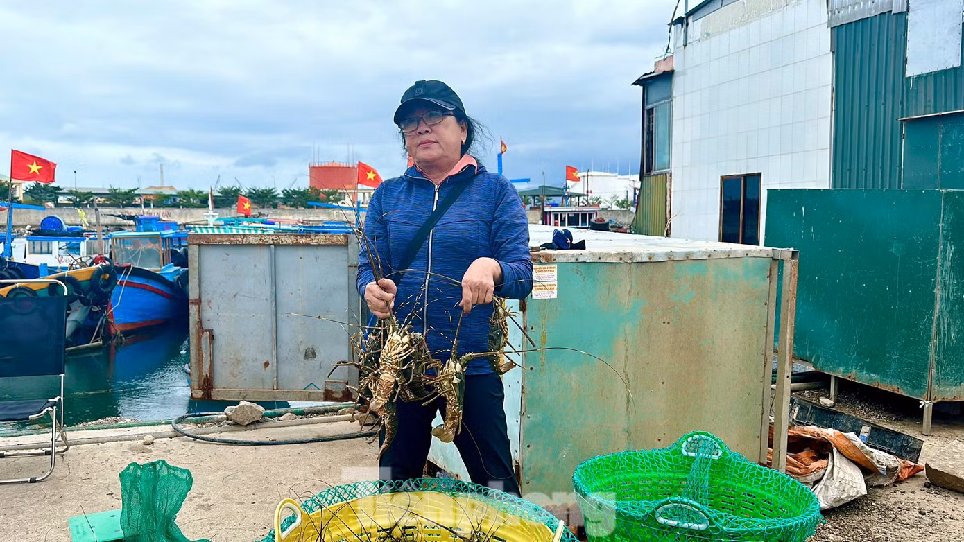 Bà Trịnh Thị Thu chán nản chia sẻ vụ nuôi rớt thảm đầu năm 2025. Bà Trịnh Thị Thu chán nản chia sẻ vụ nuôi rớt thảm đầu năm 2025.