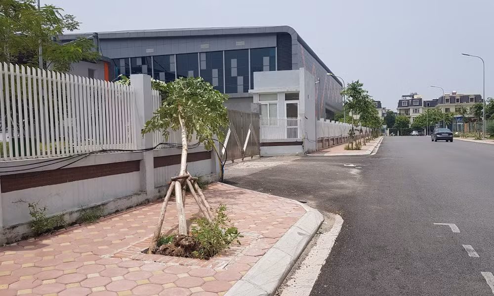 Xôn xao loạt cây xanh bật gốc lộ nguyên vỏ bọc rễ sau mưa dông ở Linh Đàm ảnh 1