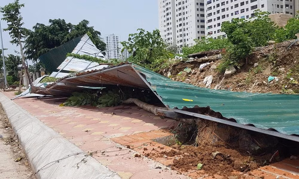 Xôn xao loạt cây xanh bật gốc lộ nguyên vỏ bọc rễ sau mưa dông ở Linh Đàm ảnh 7