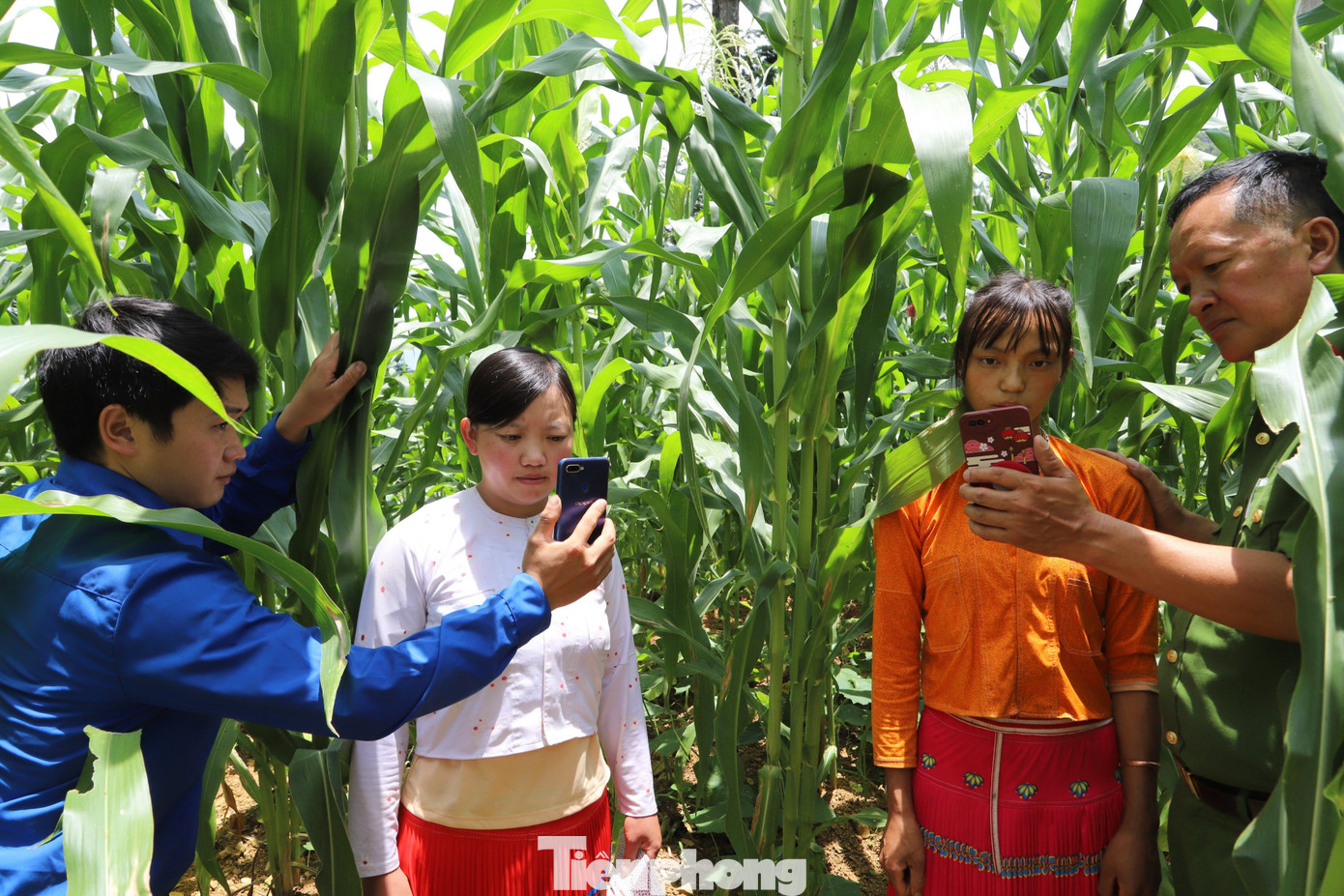 Tổ công tác lên nương ngô để giúp bà con kích hoạt định danh điện tử. Tổ công tác lên nương ngô để giúp bà con kích hoạt định danh điện tử.