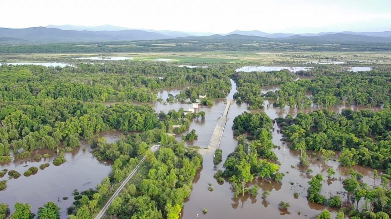 Tập đoàn TH khởi công thêm dự án bò sữa tại vùng Viễn Đông của Nga với hàng loạt ưu đãi ảnh 4