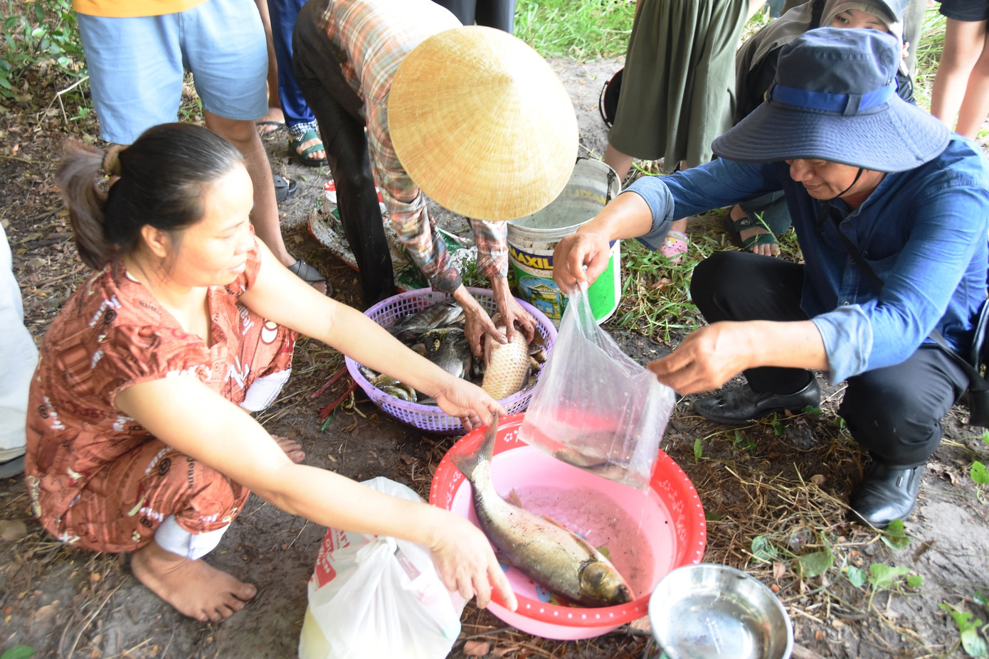 Cá bắt dưới hồ được người dân bán ngay tại chỗ cho du khách.
