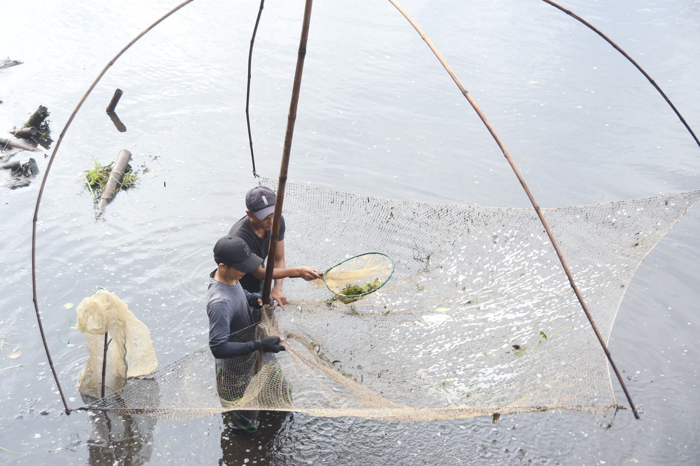 Mỗi năm lễ hội "phá Trằm" bắt cá chỉ diễn ra đúng một lần sau khi thu hoạch xong vụ lúa hè thu.