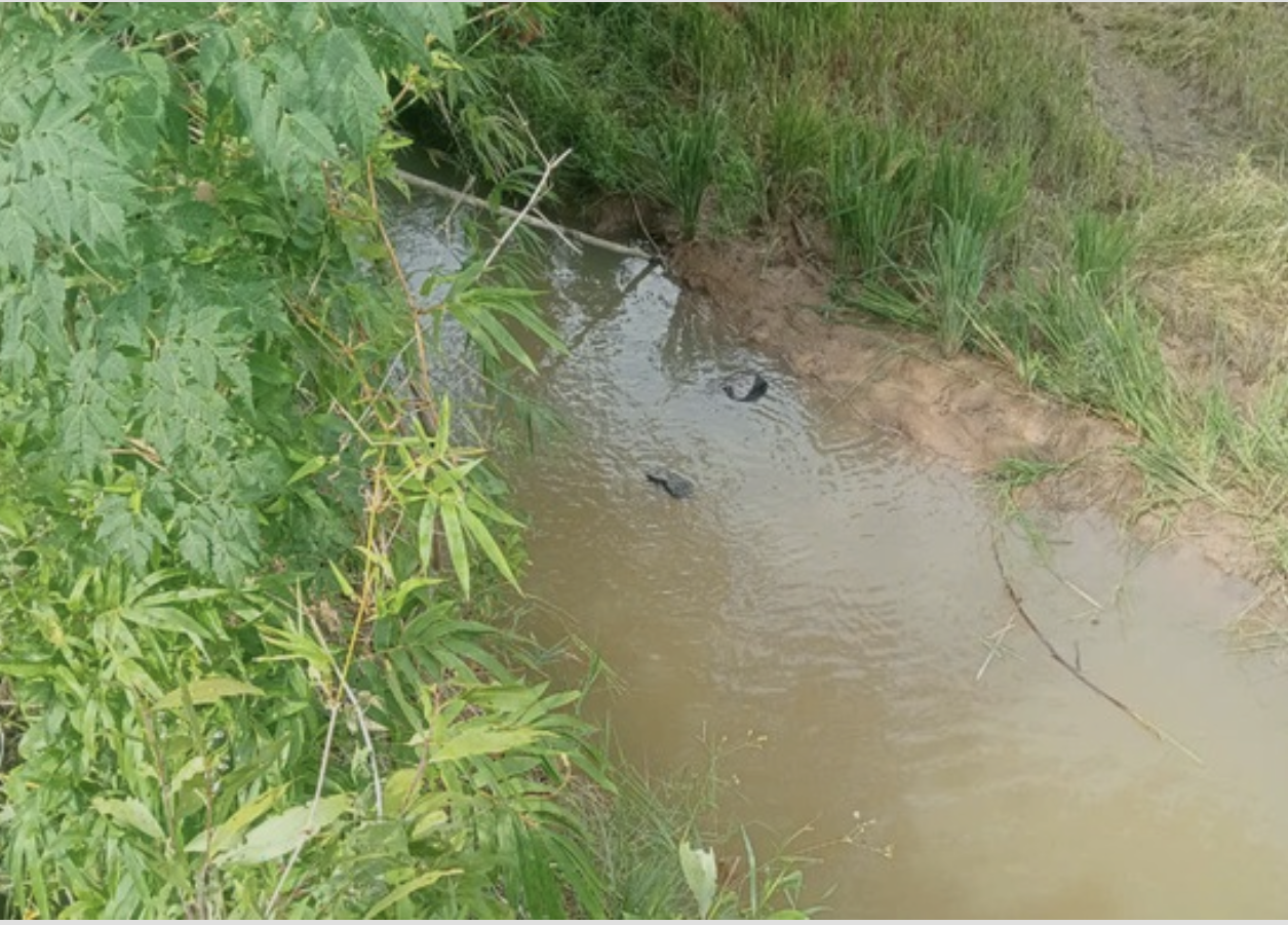 Khu vực cháu N.T.D. bị đuối nước. Ảnh: Anh Vũ Khu vực cháu N.T.D. bị đuối nước. Ảnh: Anh Vũ