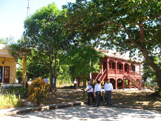Cây bàng vuông trong khuôn viên UBND huyện đảo