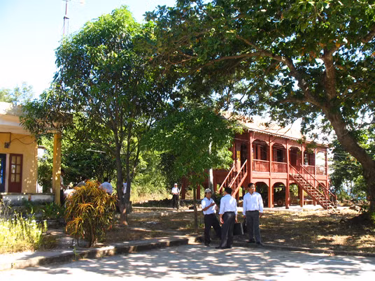 Cây bàng vuông trong khuôn viên UBND huyện đảo