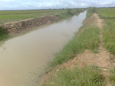 Cánh đồng mênh mông chỉ có bờ ruộng và mương dẫn nước