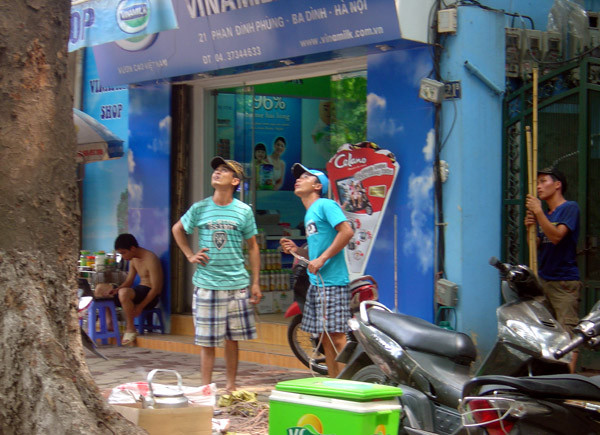 Ước lượng độ cao của cây sấu và những khu vực nhiều quả 