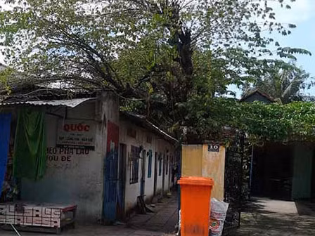 Có một điều tai hại mà hàng xóm của Lương vẫn không thể nào quên được là bản tính của cô bán bánh tét năm nào đã thay đổi hoàn toàn. Có một điều tai hại mà hàng xóm của Lương vẫn không thể nào quên được là bản tính của cô bán bánh tét năm nào đã thay đổi hoàn toàn