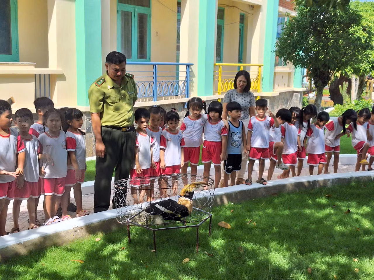 Trước khi tái thả, cá thể chim được giới thiệu với các cháu mầm non để giáo dục ý thức bảo vệ môi trường Ảnh: CTV