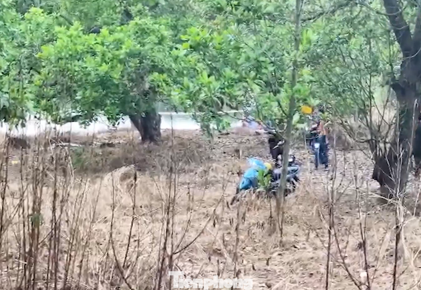 Hiện trường vụ việc. Ảnh người dân cung cấp Hiện trường vụ việc. Ảnh người dân cung cấp