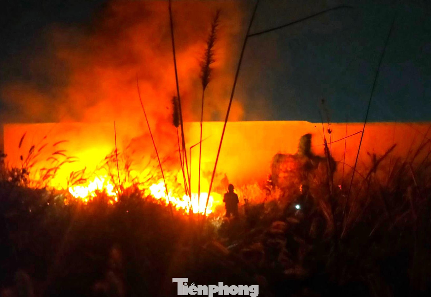 Đám cháy nằm sát khu nhà trọ Đám cháy nằm sát khu nhà trọ