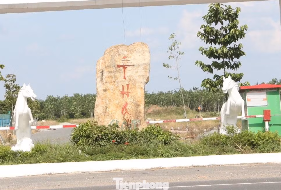 Dù chưa thực hiện các thủ tục pháp lý về đất đai, doanh nghiệp đã vẽ dự án “ma” để ký hợp đồng môi giới độc quyền chuyển nhượng cho hàng trăm người dân, chiếm đoạt số tiền lên tới cả trăm tỉ đồng. Dù chưa thực hiện các thủ tục pháp lý về đất đai, doanh nghiệp đã vẽ dự án “ma” để ký hợp đồng môi giới độc quyền chuyển nhượng cho hàng trăm người dân, chiếm đoạt số tiền lên tới cả trăm tỉ đồng.