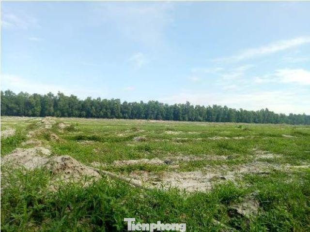 Mới đây, Công an tỉnh Bình Dương khởi tố, bắt giam Giám đốc Công ty bất động sản Điền Phú Phát Phạm Ngọc Thắng.