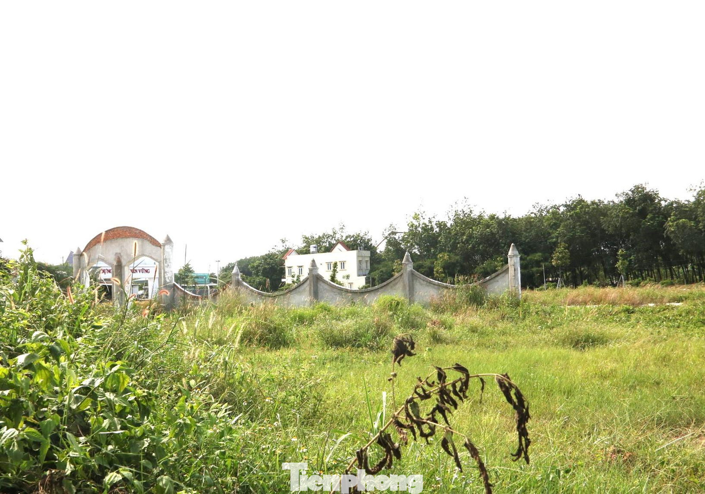 Vào đầu năm 2018, Công ty TNHH Địa ốc Tường Hy Quân do Châu Minh Sơn là đại diện pháp luật và Lô Thị Loan - làm Giám đốc đã lập dự án Khu dân cư Chánh Phú Hòa với tổng diện tích hơn 6,4ha. Doanh nghiệp này dù chưa đủ pháp lý nhưng ký Hợp đồng môi giới độc quyền 300 nền đất thuộc với Công ty Địa ốc Đất Việt với tổng giá trị chuyển nhượng của Hợp đồng là 129 tỉ đồng.