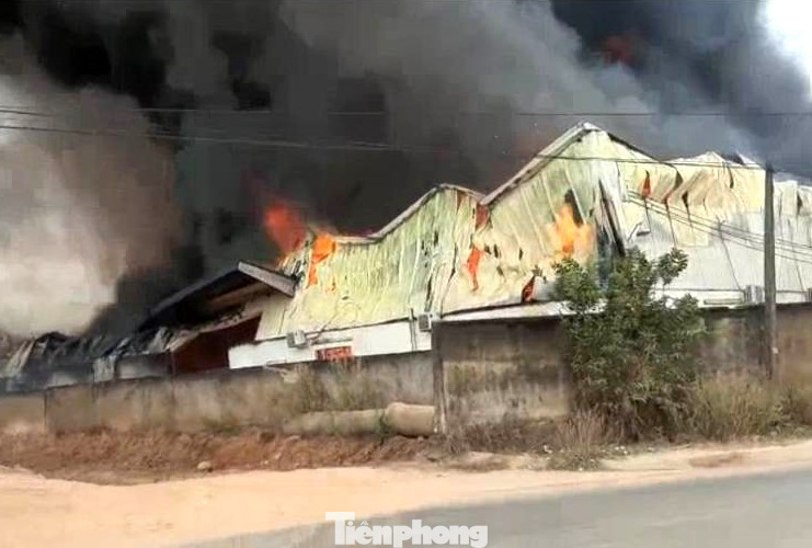 Nhà xưởng bị thiêu rụi Nhà xưởng bị thiêu rụi