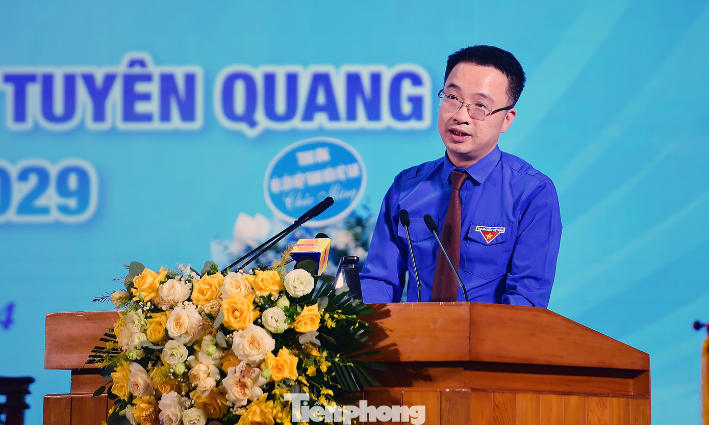 Anh Nguyễn Tường Lâm phát biểu tại Đại hội.