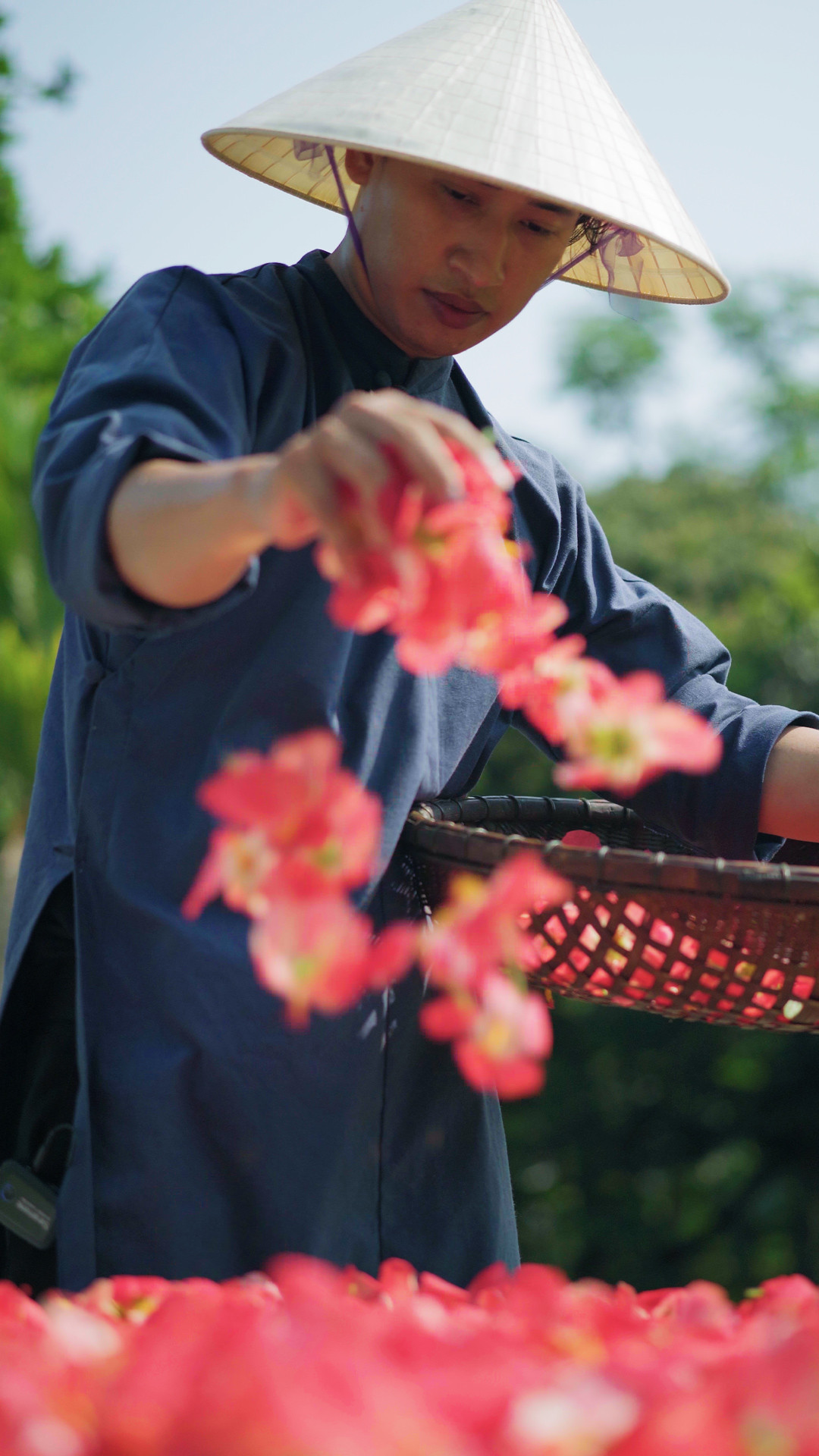 Một ngày trải nghiệm hái sâm bố chính của chàng trai 9X.