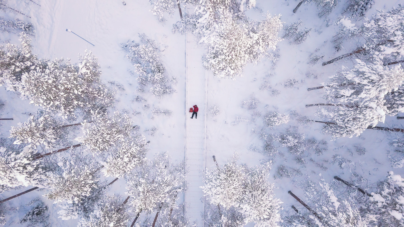 Xuân Việt chụp ảnh tại khu vực "đường mòn mùa đông Ounasvaara" tại Rovaniemi (Phần Lan) - một điểm tham quan, chơi thể thao nổi tiếng.