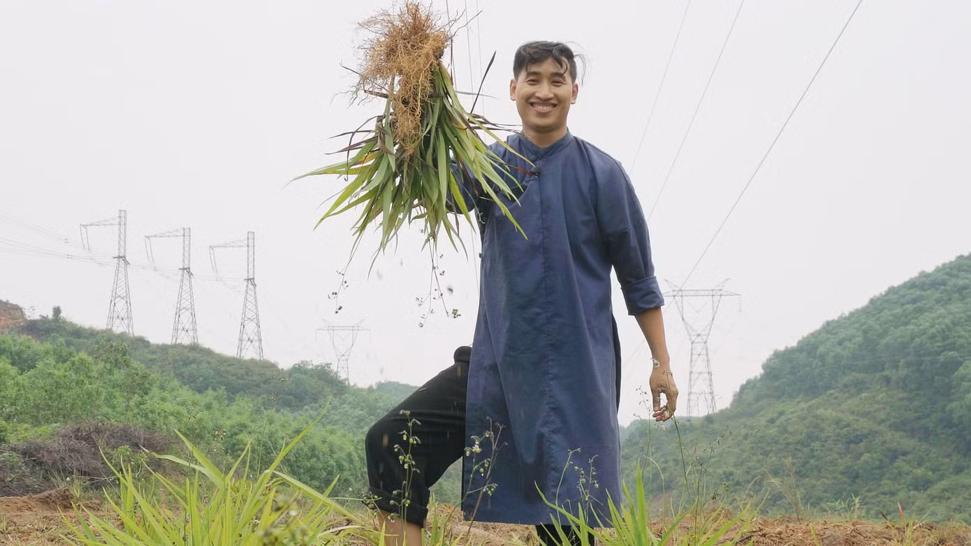 Hữu Quý thu hoạch rễ cây hương bài để làm trầm hương.